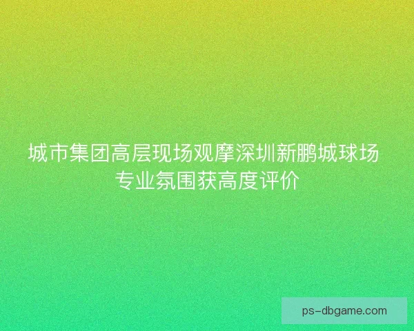 城市集团高层现场观摩深圳新鹏城球场 专业氛围获高度评价